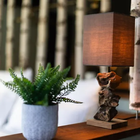 アパート Boutique By Roy オーバーハウゼン